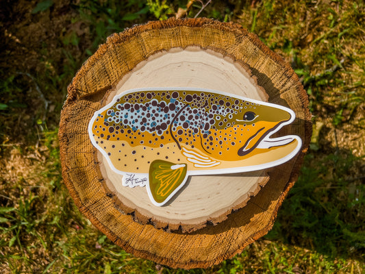 Brown Trout Decal - Large