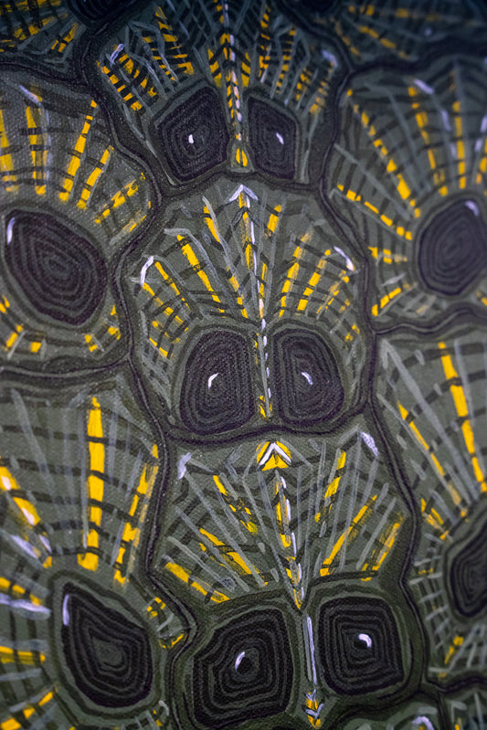 A Turtle's Mark