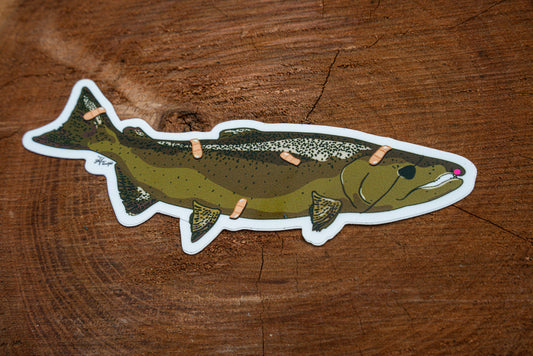 Better days King Salmon